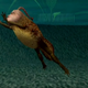 Image for article titled My Strange Conversations With Seaman